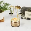 Carrusel Aromático: Velas de carrusel en set de regalo